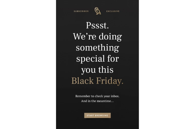 Black Friday Email Templates and Examples