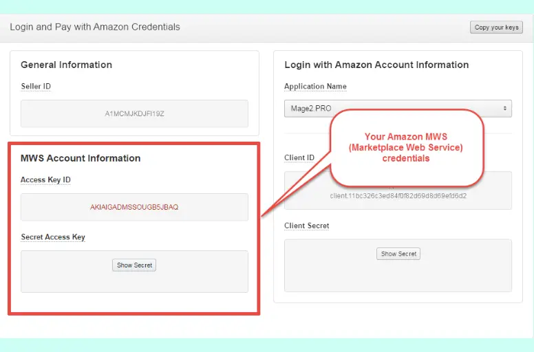 How to Use Amazon Marketplace Web Service?