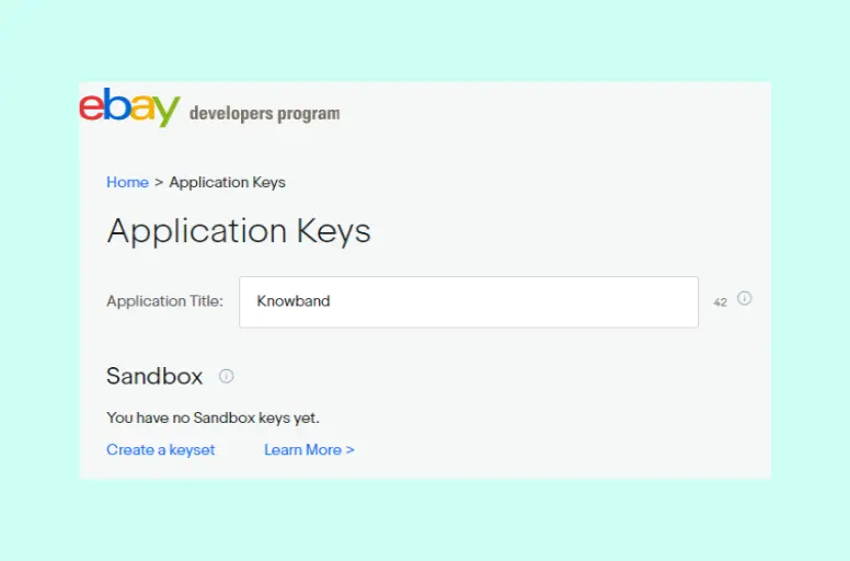 How to Get eBay API Key?