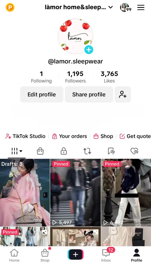 Open TikTok and go to TikTok profile.