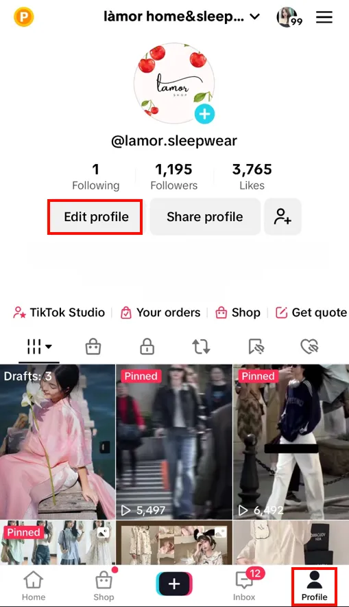 Select "Profile" and tap the "Edit Profile" icon on TikTok