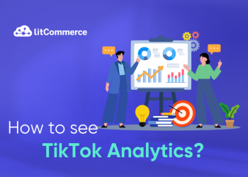 How to Check TikTok Analytics