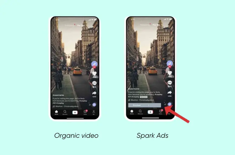 Comparing organic video vs Spark Ads