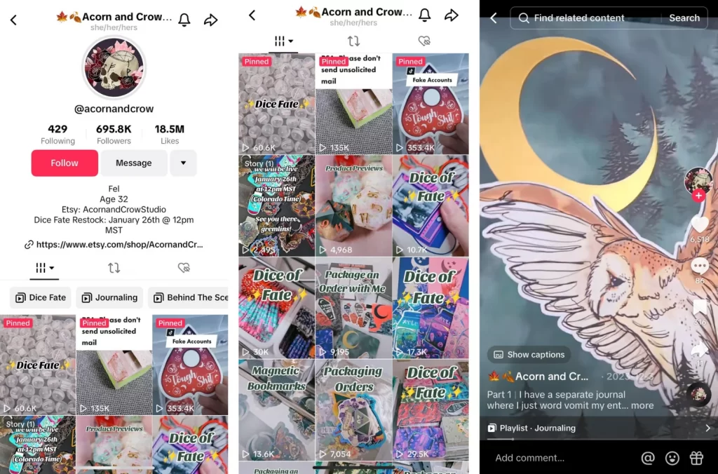 The TikTok account of Acorn and Crow Etsy shop