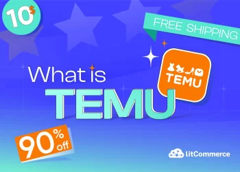 What is Temu