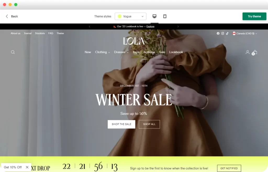 Header of Shopify store