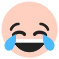 TikTok Emojis Codes 19