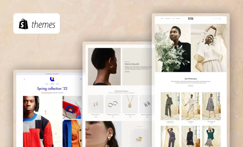 shopify theme