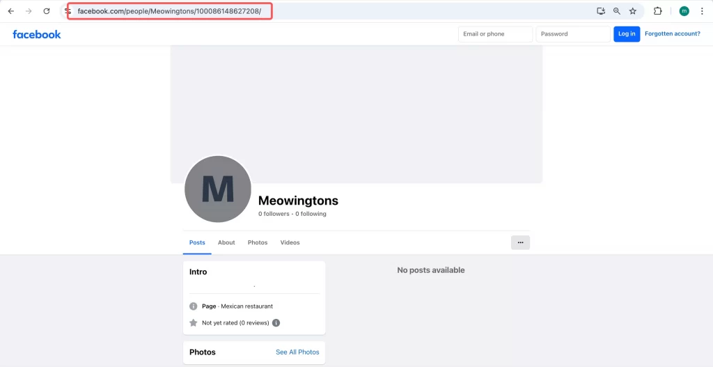 your new Facebook page URL