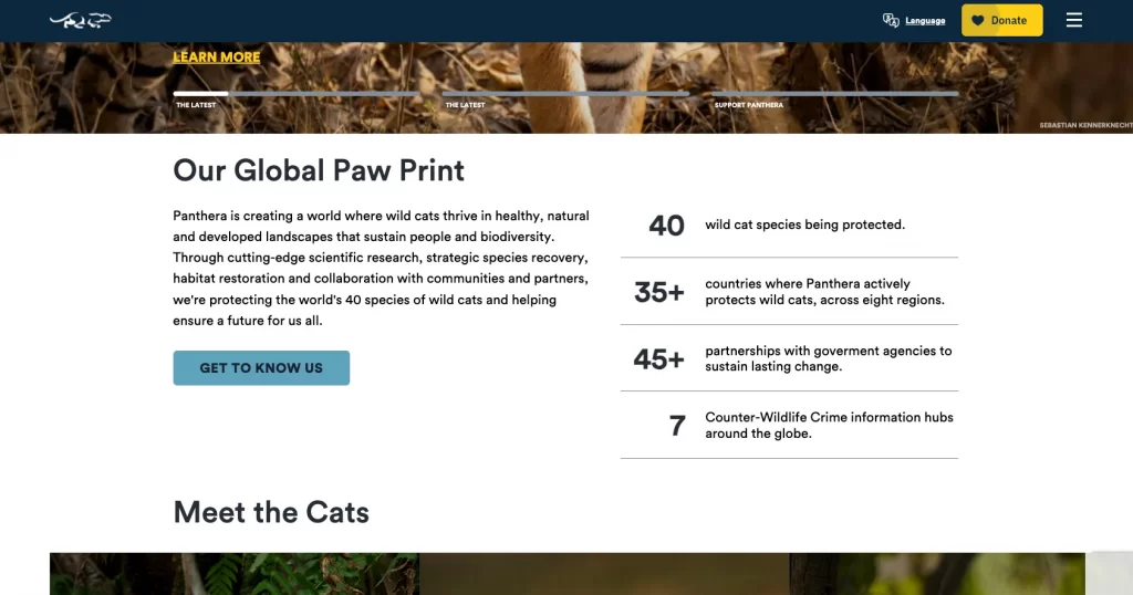 Panthera CTA example