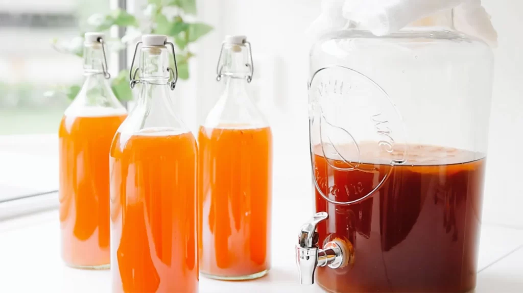 Homemade kombucha kits